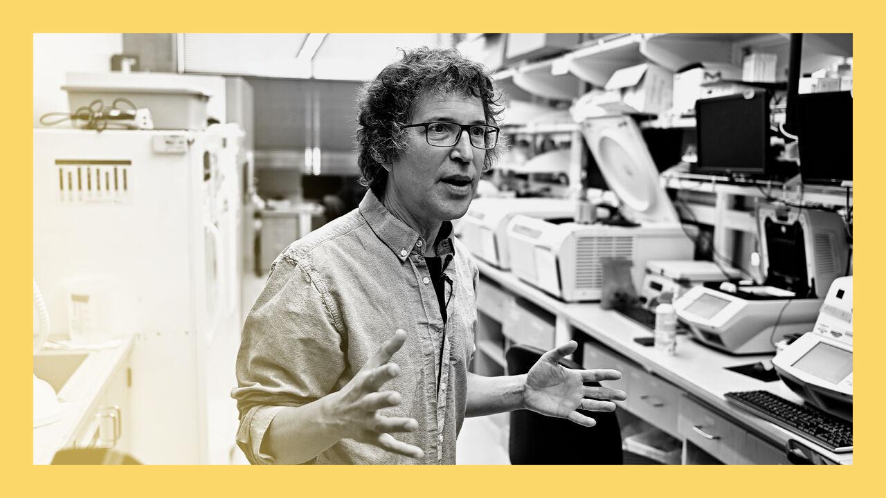 Synth wave: designing proteins and genomes from scratch