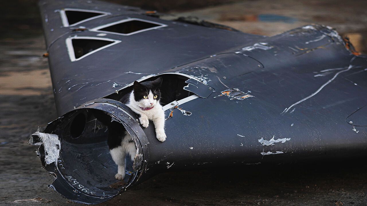 A cat climbs in a wreckage of Russian ‘Geran’ drone shot down in Ukraine.