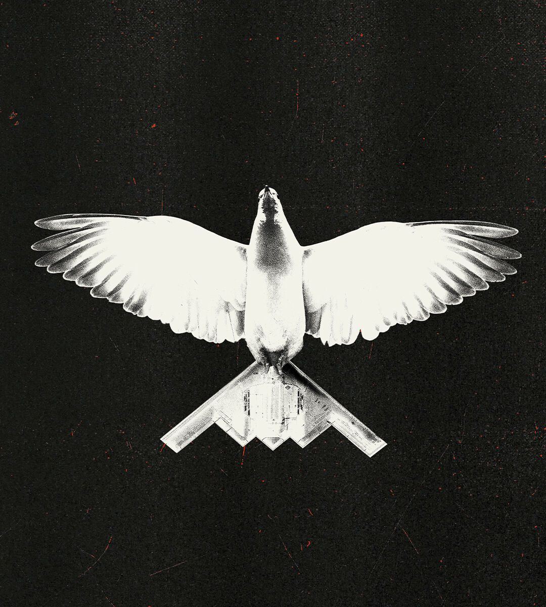 Illustration of a white dove crossed with a B2 stealth bomber