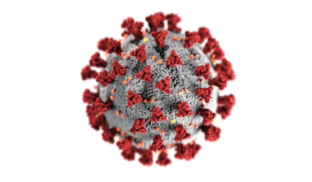 The impact of covid-19